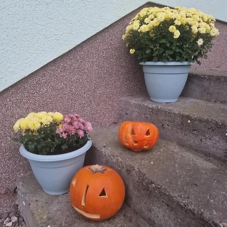Apartment Am Gruenen Haus